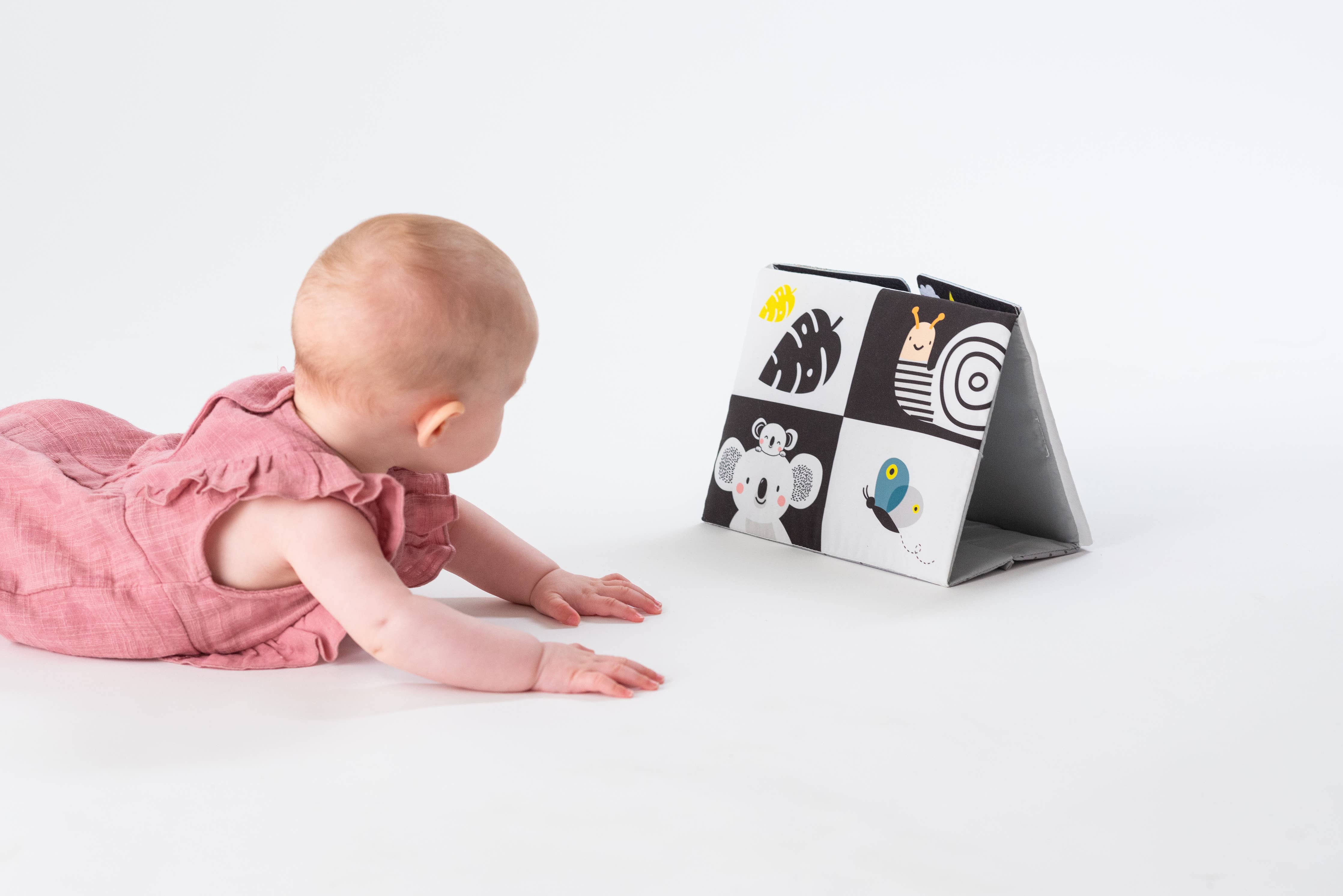 Playette | Taf Toys Tummy-time Mirror Book