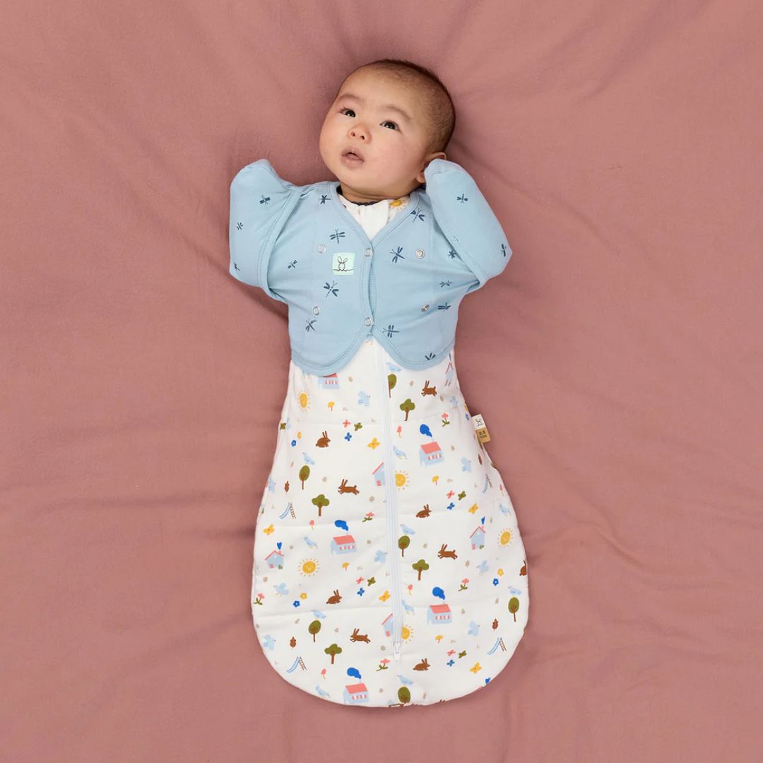 ergoPouch Cocoon Swaddle Bag 2.5TOG Daydream