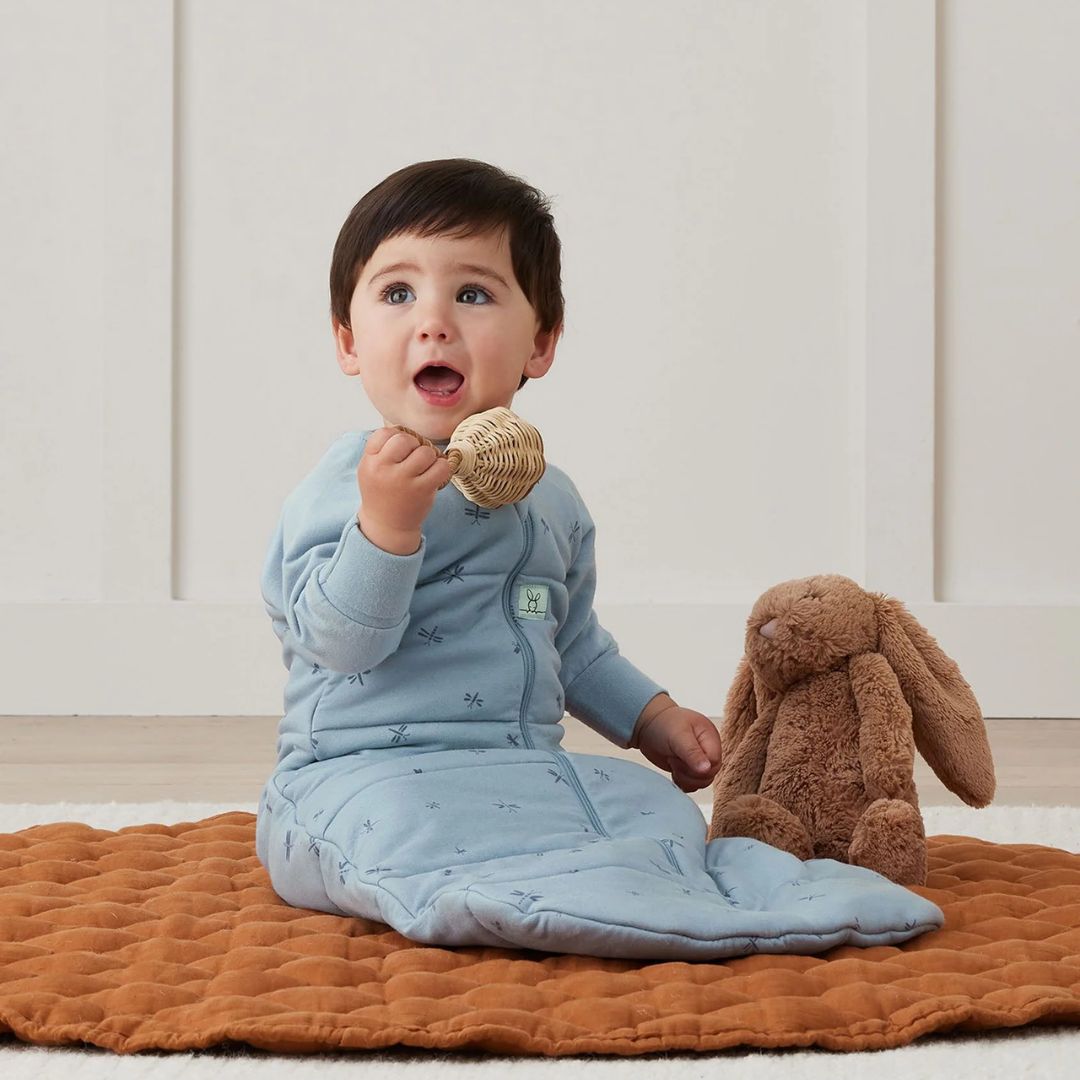 ergoPouch | Jersey Sleep Bag Long Sleeve 2.5TOG 3-12mths | Dragonflies