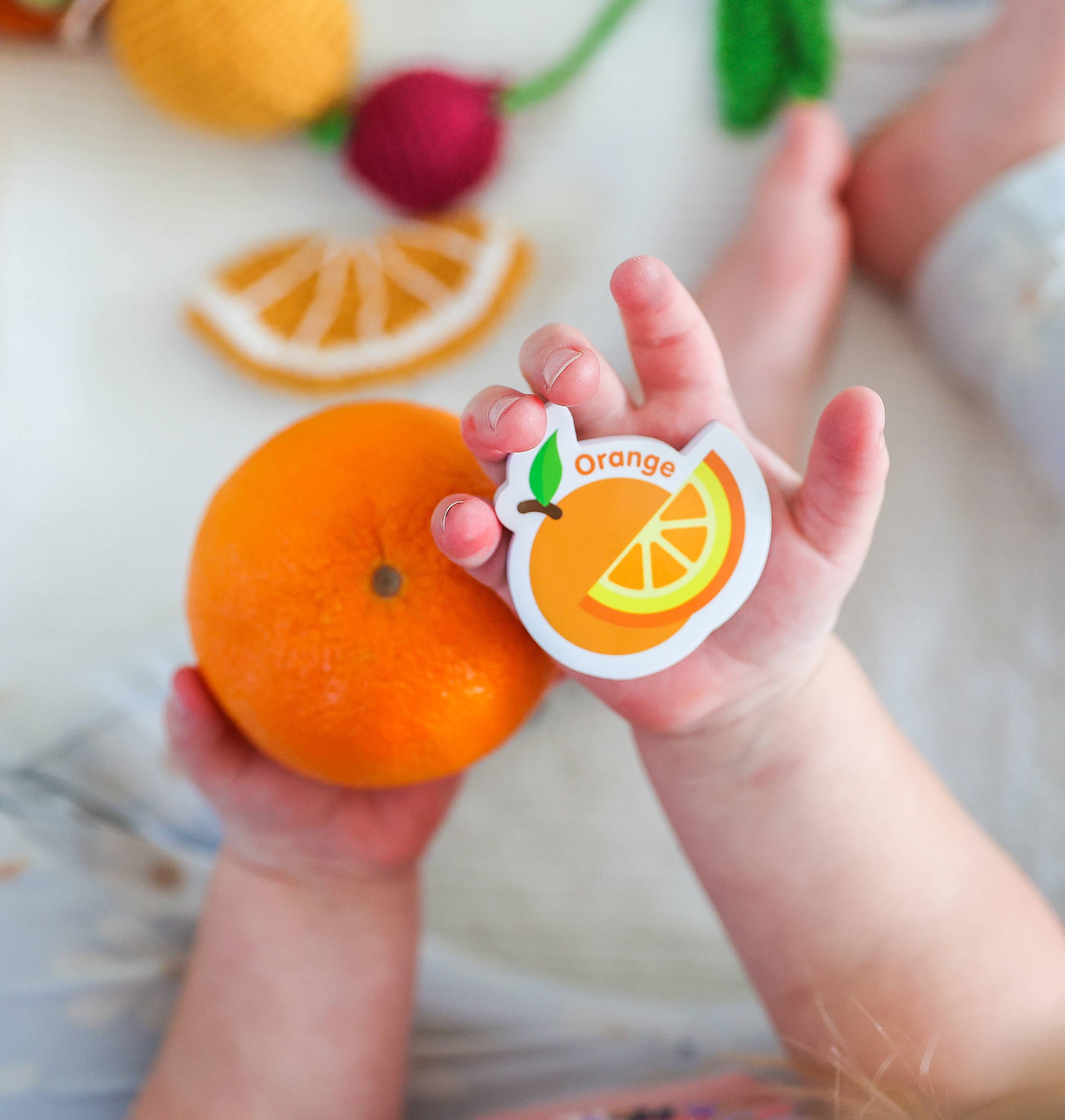 Curious Columbus | Magnetic Foods and Letters
